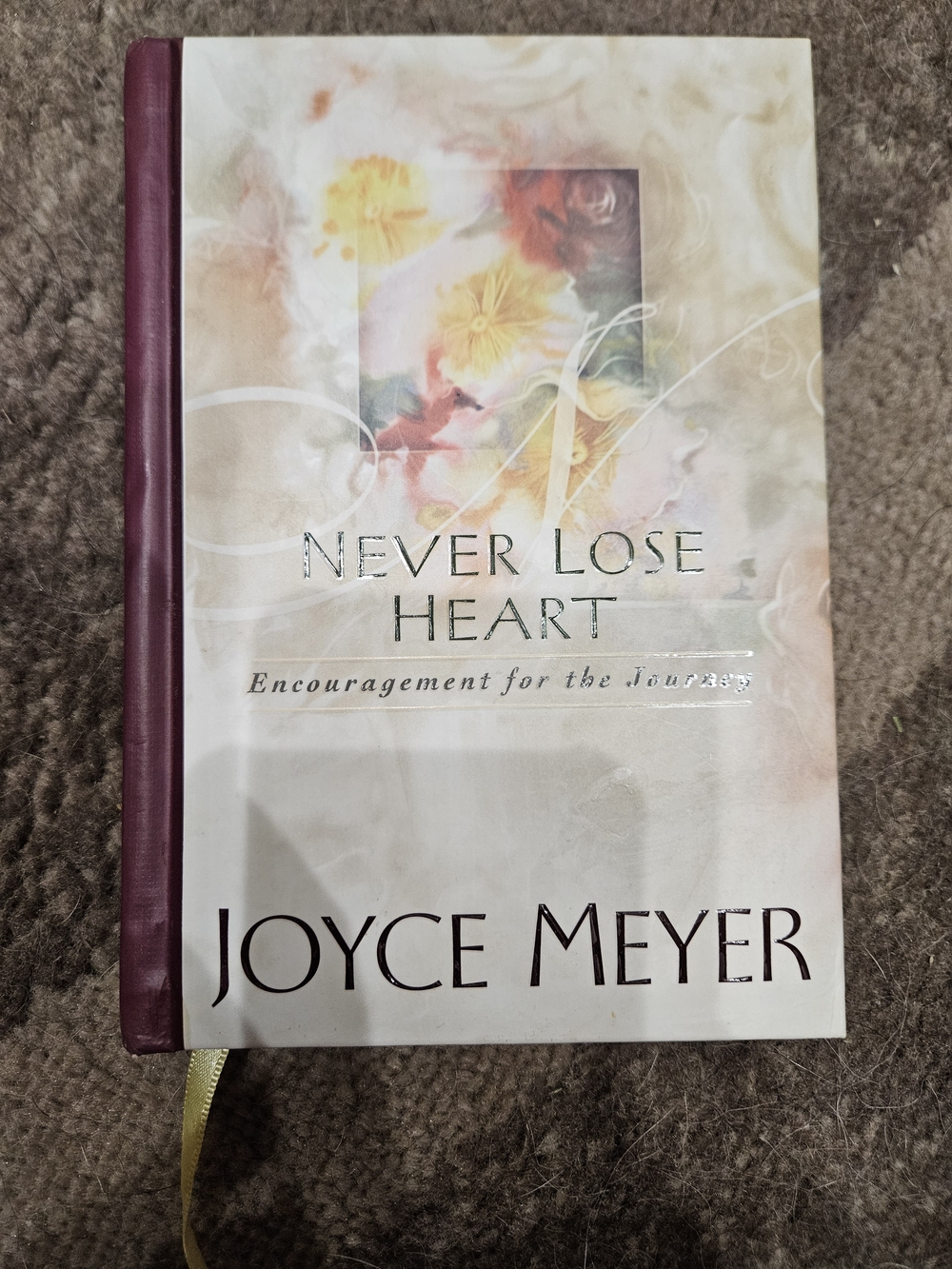 Never Lose Heart Hardcover By Joyce Meyer
